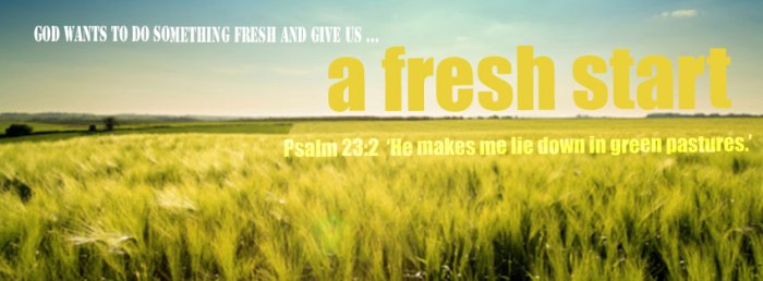 a fresh start