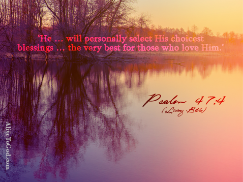 11813258_10153107857296313_5368145778195091114_n