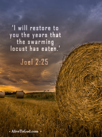 Joel 2:25 ‘I will restore to you the years that the swarming locust has eaten.’ 