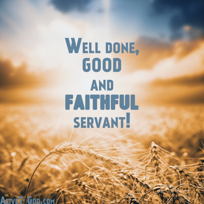 golden harvest in sunset. soft focus