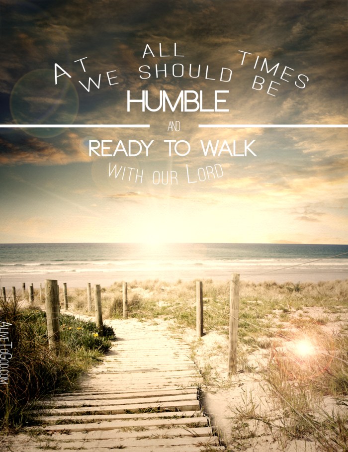 Pathway leading to the beach