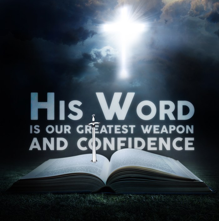 Large open Bible in a field at midnight.