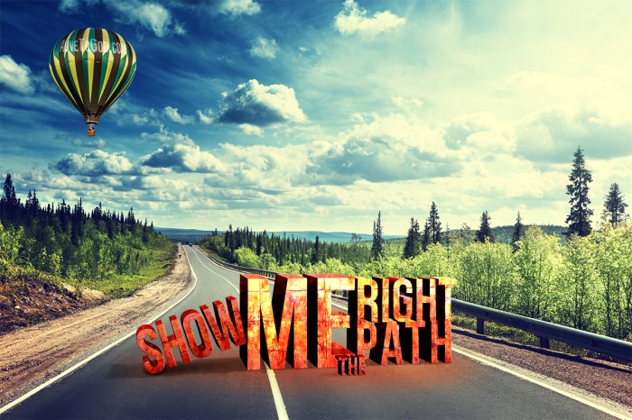 road in north forest